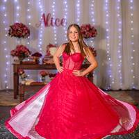 15 Anos Alice