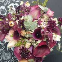 Michelle e Rafael - Herefords