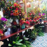  Silvia e Mauricio- Portal do Girassol