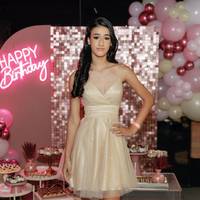 Ana Karina - Festa de 15 Anos