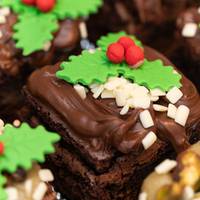 Fernanda Romariz de Amorim