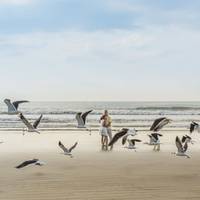 Aurélio + Bethânia