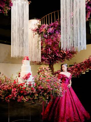 15 anos  de 15 anos da Ana Clara — Um sonho transformado em realidade