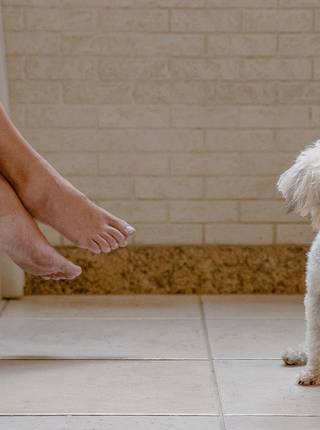 Casamentos de Gabriela e Marcelo