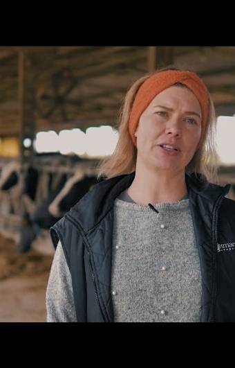 Corporativo de FAZENDA ORQUIDEA 