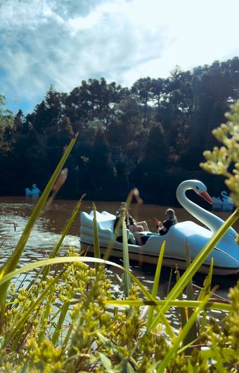 Viagem de Rio Grande do Sul