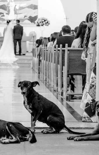 PREMIAÇÕES de Premiação Internacional - WPE Awards International Photography