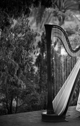 Perfil Profissional de Arte -