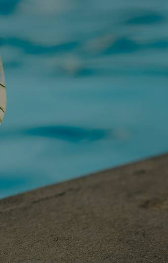 Corporativo de FOTOS DRINKS