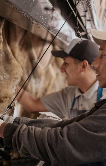 Corporativo de DELAVAL 