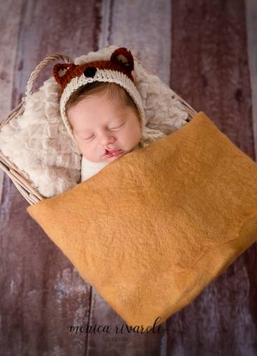 Newborn de Ensaio Newborn do Dimitri