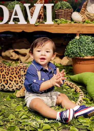 Aniversários de Safari do Davi