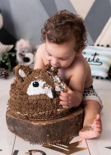 Smash the Cake de Smash the Cake - Samir