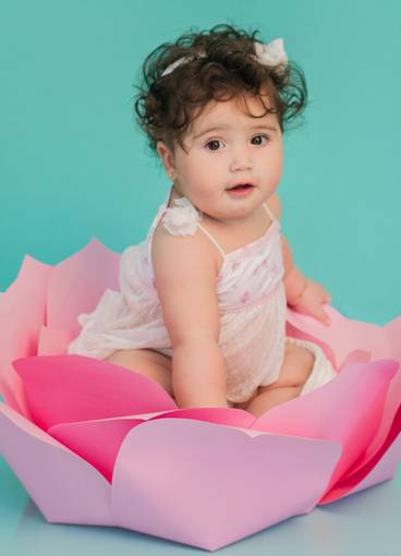 Acompanhamento do Bebê de Sofia - 6 meses