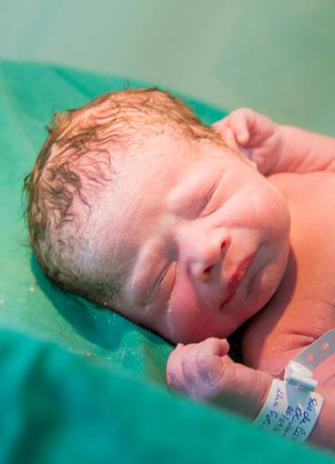 Nascimentos de O Nascimento da Maria Clara