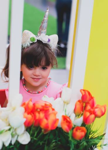 Festa de Anos de 3 anos da Didi