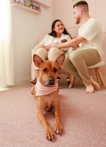 Newborn de Os primeiros dias da Luiza