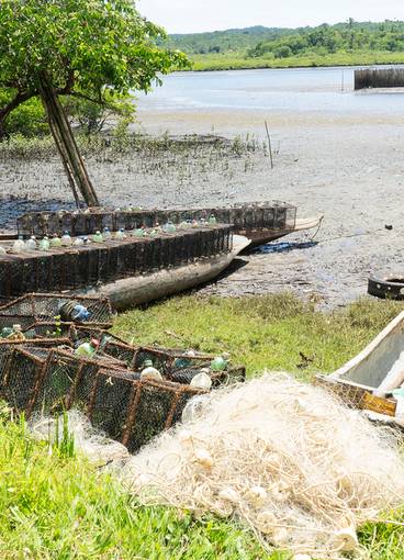 Fotografia de Projeto Banheiros mudam vidas, Vidas mudam futuros