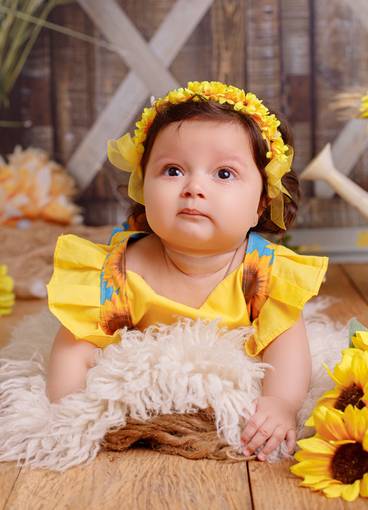 Acompanhamento mensal de Alice Girassol  Ac 