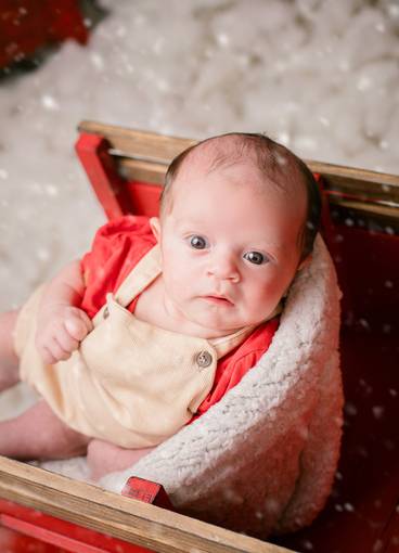 Natal 2024 de Anthony Ac trimestral 