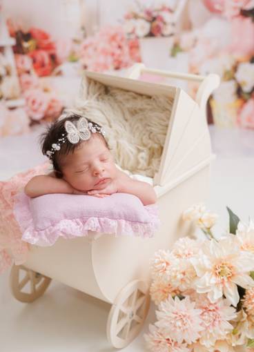 Newborn menina de Laura 