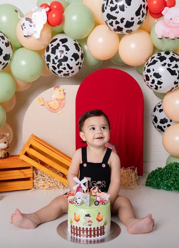 Smash the cake - 1 ano de Rhavy, 1 ano 