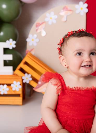 Smash the cake - 1 ano de Liz, 1 ano