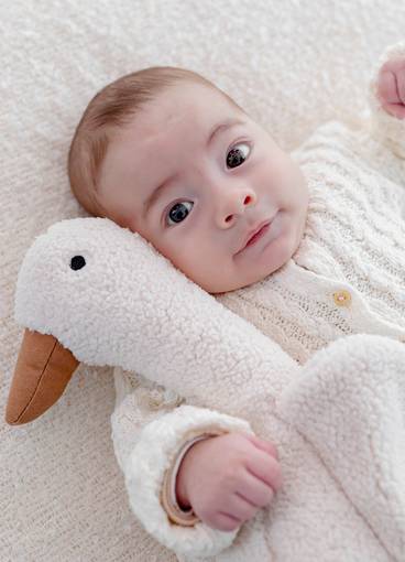 Acompanhamento de Acompanhamento e desenvolvimento de Bebés – Sessões aos 3, 6 e 9 Meses