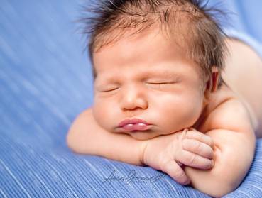 NEWBORN de NEWBORN - BERNARDO - 11 DIAS