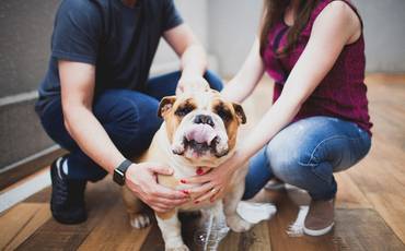 Meu pet pode participar do ensaio?