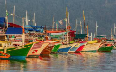 Certificado de Aceitação: Bauru