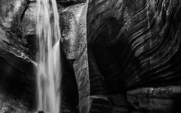 Certificado de Aceitação: Ribeirão Preto