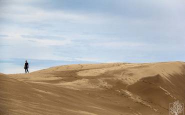 Certificado de Aceitação: Boa Vista