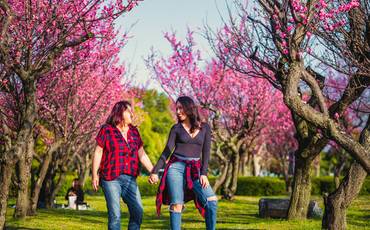 Vamos viajar um pouco no tempo? 
