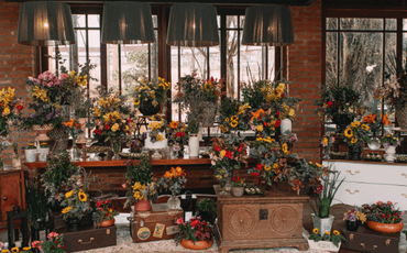 Como escolher a paleta de cor