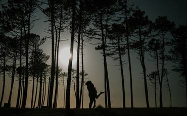 PLANEAR SESSÃO DE SOLTEIROS