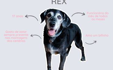 { Rex }