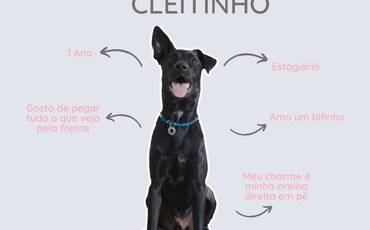 { Cleitinho }