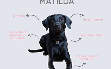 { Matilda }