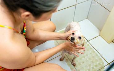 5 motivos para fazer um ensaio em casa.