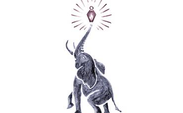 Memória de elefante