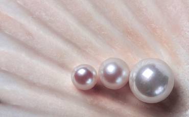 Enzo e suas pérolas 