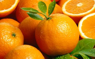 A fotografia e o suco de laranja