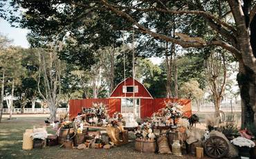 Primeiro ano do Theo 