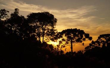 Processo de criação para logotipo