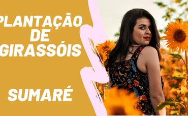 Encontramos um campo de girassol!!! Ensaio com girassóis