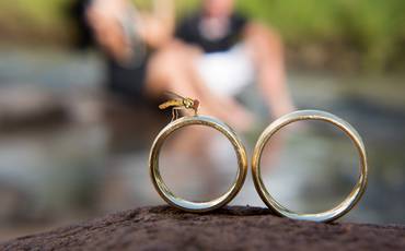 A importância do álbum de fotografia