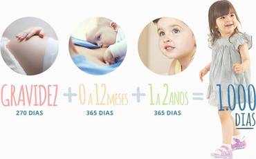 1000 DIAS - Dicas Para Mamães Por Thaís Lorena