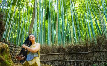 Conheça Arashiyama