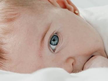 Projeto Cartas de Para Clara